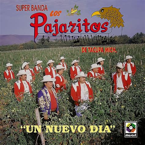 los pajaritos de tacupa